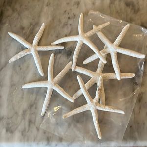 Decorative Starfish